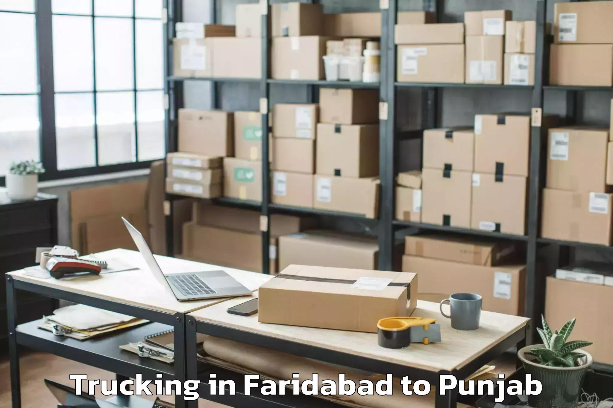 Professional Faridabad to Faridkot Trucking